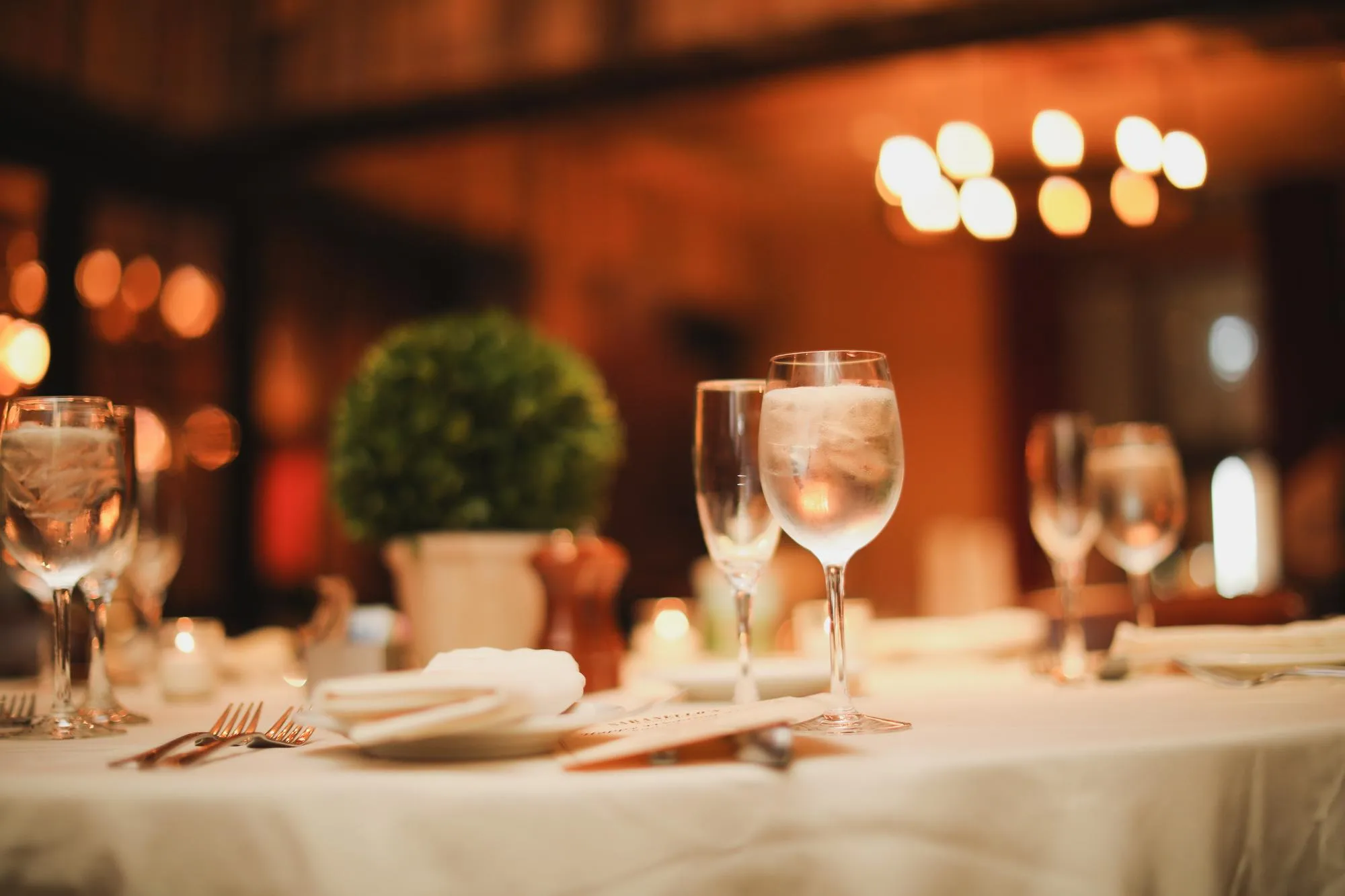 Restaurant type - Fine Dine